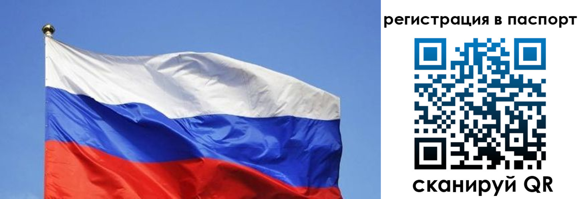 прописка в квартире в Хотьково